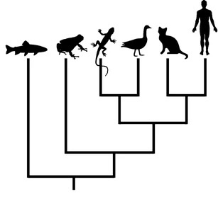 simple_tree.jpg